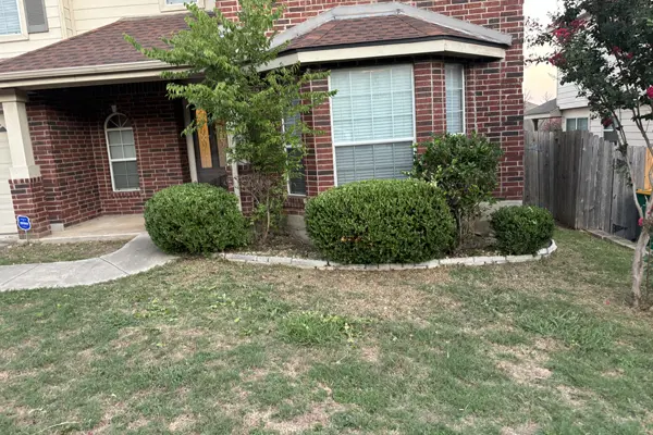 Shrub Trimming Shrub Trimming