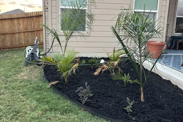 Tree Planting Services Tree Planting Services