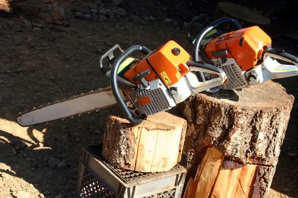 What Is Tree Pruning in Converse TX